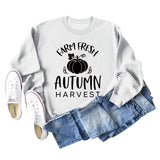 Pumpkin Letter Halloween Crewneck Long Sleeved Sweatshirt Woman